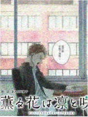 胆大党漫画封面